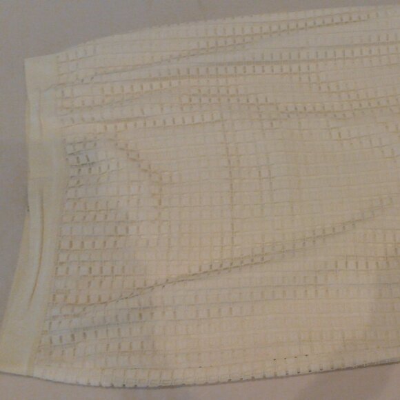 AnnTaylor Lace Skirt.  Ivory. Size 14 - Picture 2 of 4